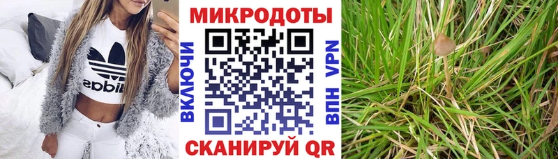 Галлюциногенные грибы Magic Shrooms  Енисейск 